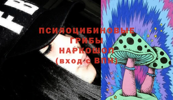 твердый Алексеевка